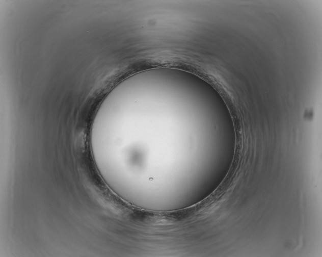 X0000089670597200706210755