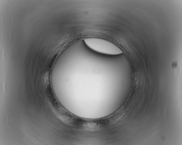 X0000089670598200706210755