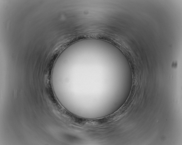 X0000089670599200706210755