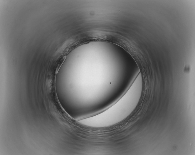 X0000089670600200706210755