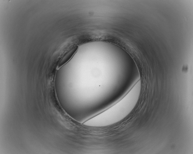 X0000089670601200706210755