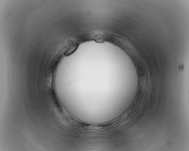 X0000089670602200706210755