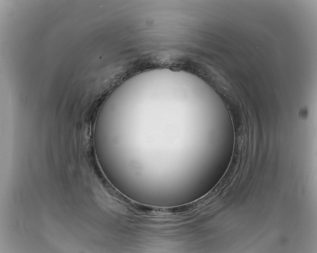 X0000089670605200706210755