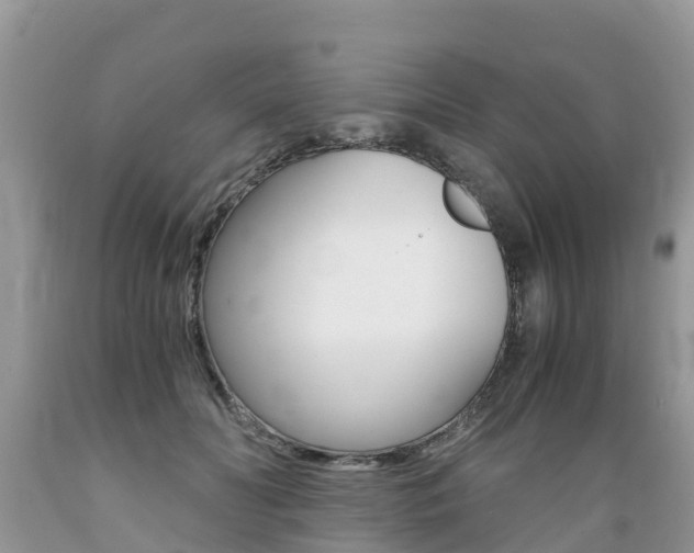 X0000089670606200706210755