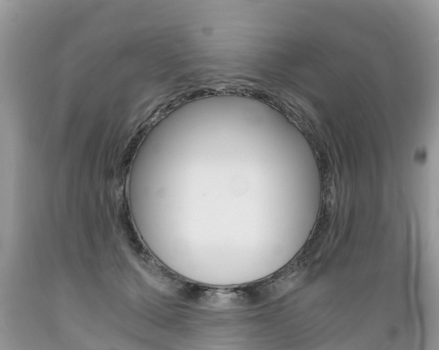 X0000089670607200706210755
