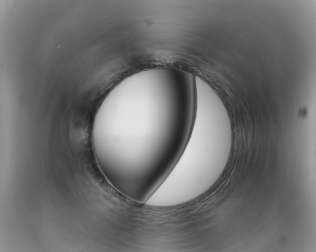 X0000089670608200706210755