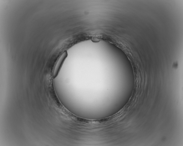 X0000089670609200706210755