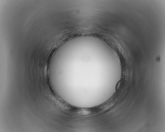 X0000089670610200706210755