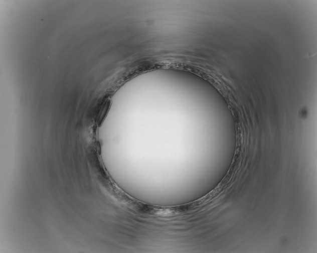 X0000089670611200706210755