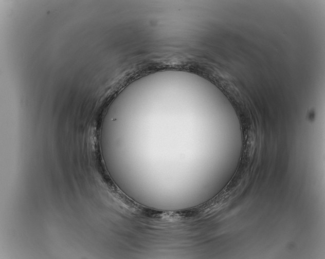 X0000089670612200706210755