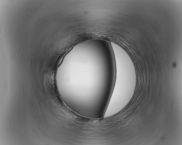 X0000089670613200706210755