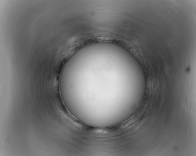 X0000089670614200706210754