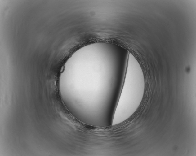 X0000089670615200706210754
