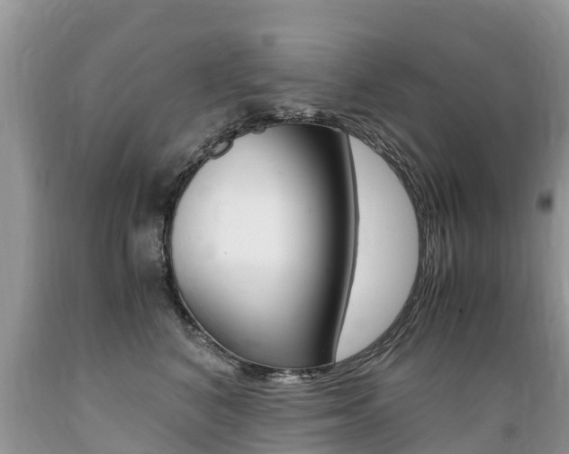 X0000089670616200706210754
