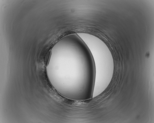 X0000089670617200706210754