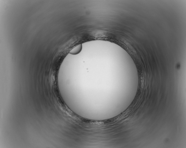 X0000089670618200706210754