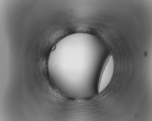 X0000089670619200706210754