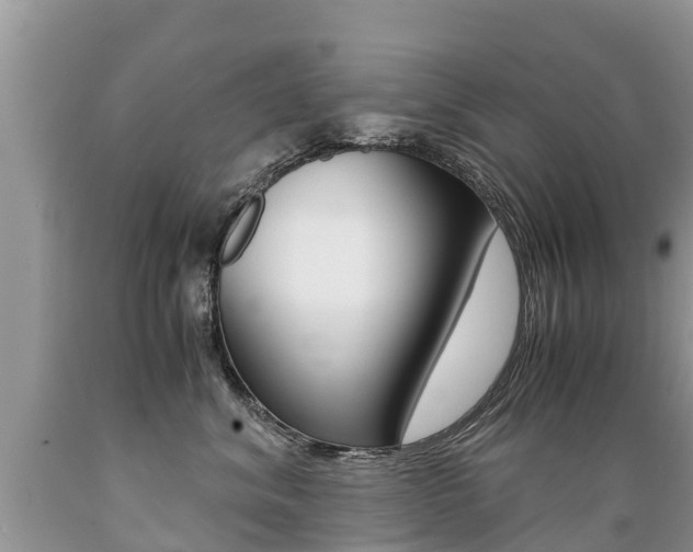 X0000089670620200706210754