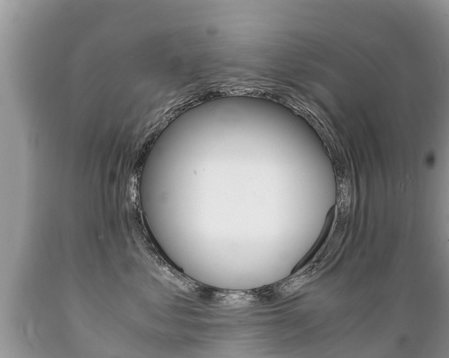 X0000089670621200706210754