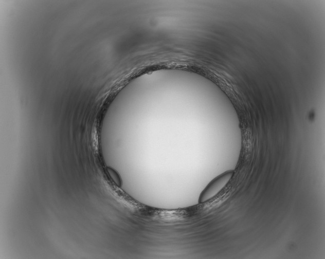X0000089670622200706210754