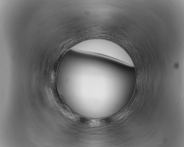 X0000089670623200706210754