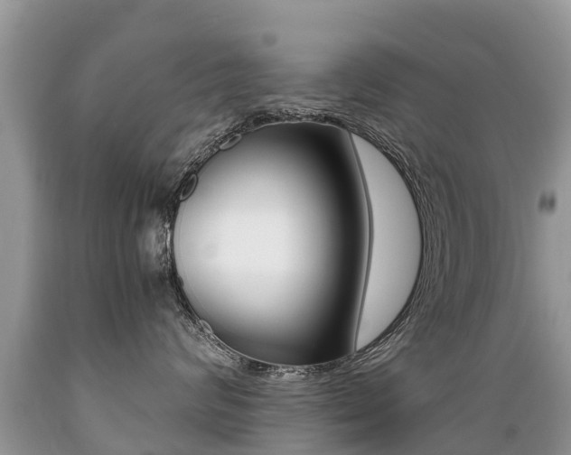 X0000089670624200706210754