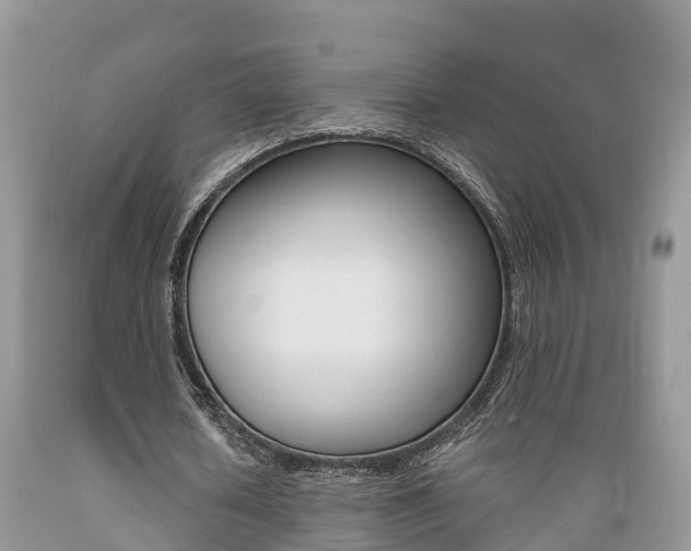 X0000089670626200706210754