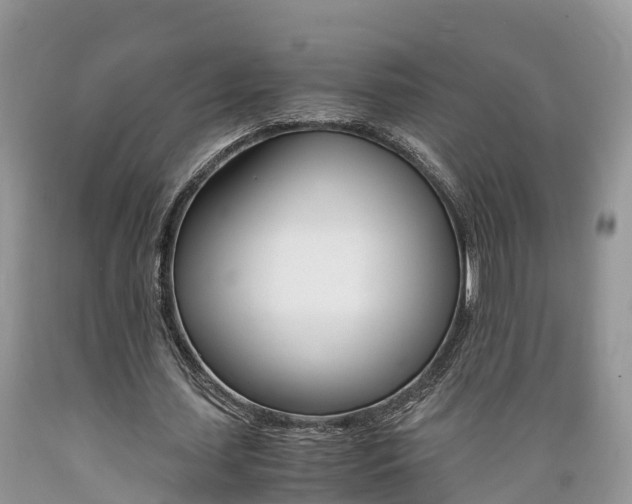 X0000089670627200706210754