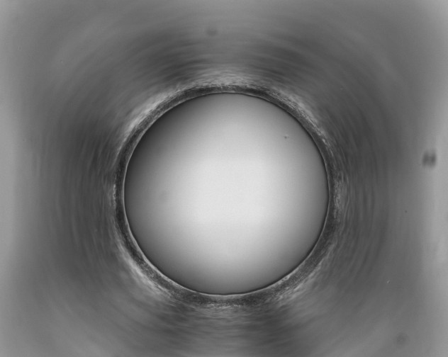 X0000089670629200706210754
