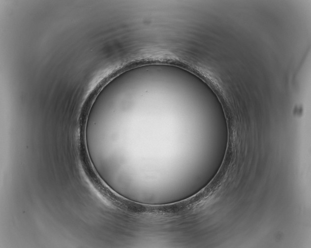 X0000089670630200706210754
