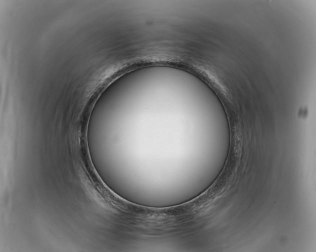 X0000089670631200706210754