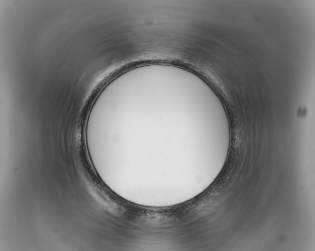 X0000089670632200706210754