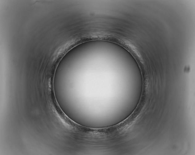 X0000089670633200706210754