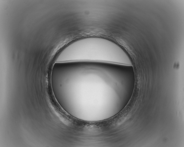 X0000089670634200706210754