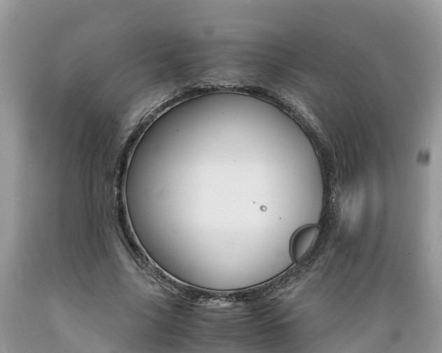 X0000089670635200706210754