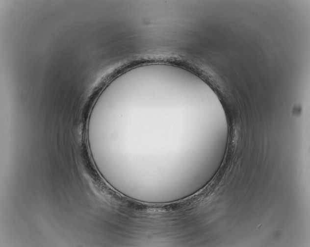X0000089670636200706210754