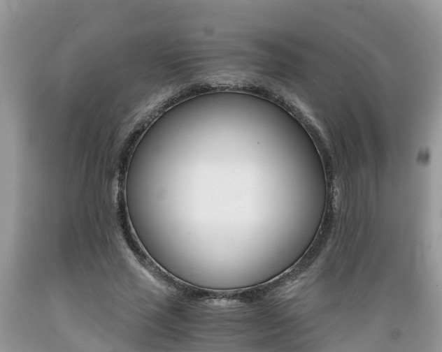X0000089670637200706210754