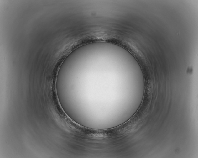 X0000089670639200706210754