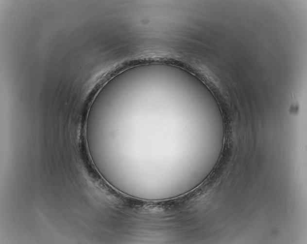 X0000089670640200706210754