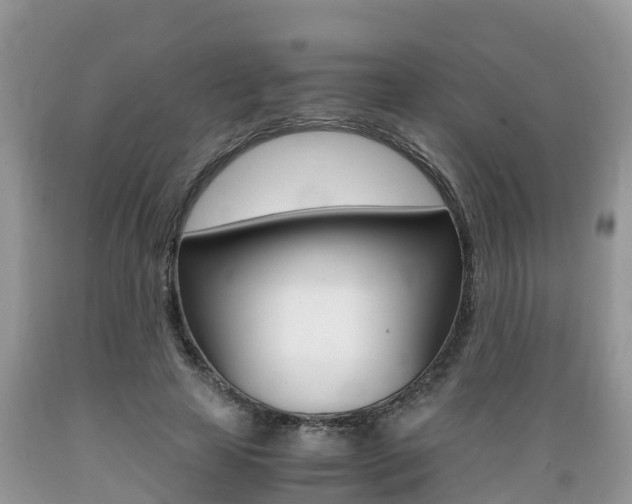 X0000089670641200706210754