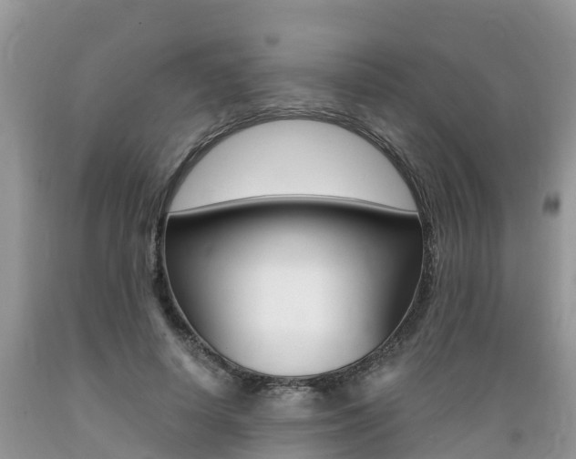 X0000089670642200706210754