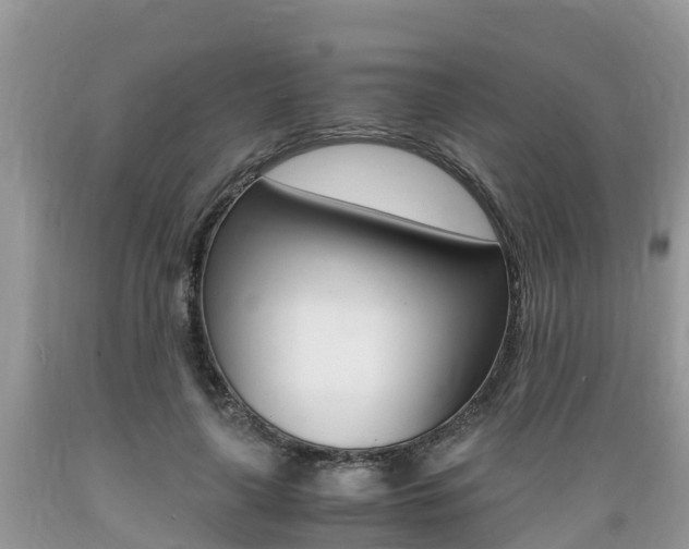 X0000089670643200706210754