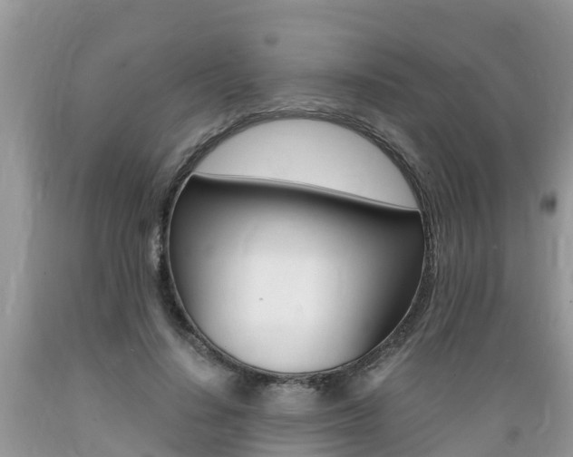 X0000089670644200706210754