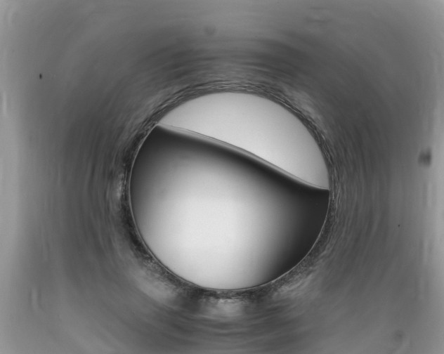 X0000089670645200706210754