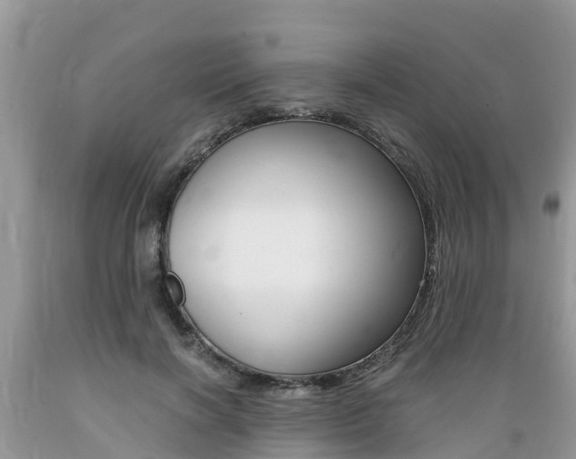 X0000089670646200706210754