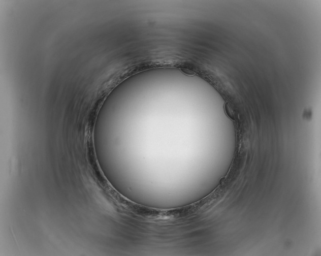 X0000089670647200706210754