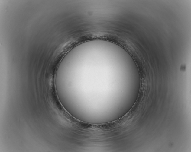 X0000089670648200706210754