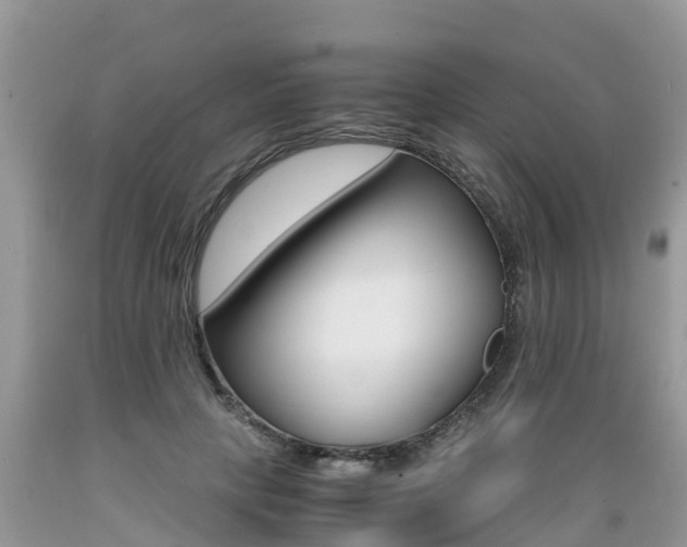 X0000089670649200706210754