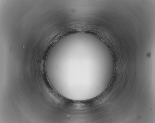 X0000089670650200706210754