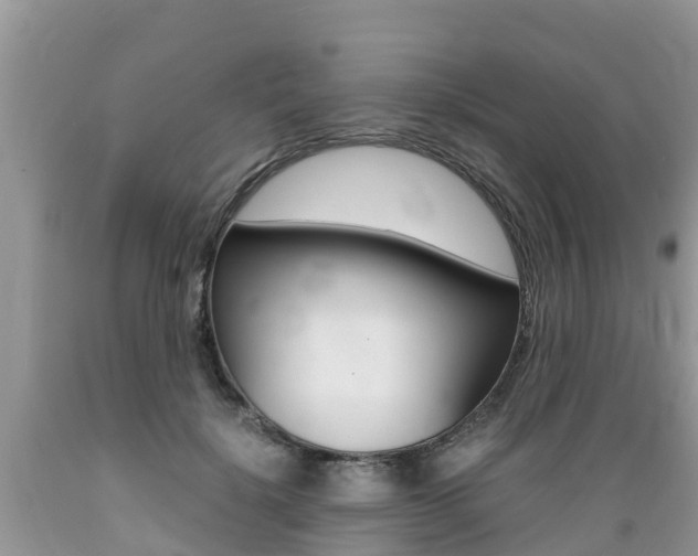 X0000089670652200706210754